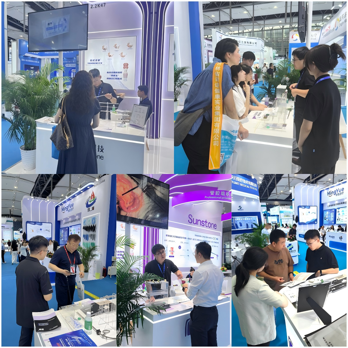 WPS拼图1.png WPS拼图1.png