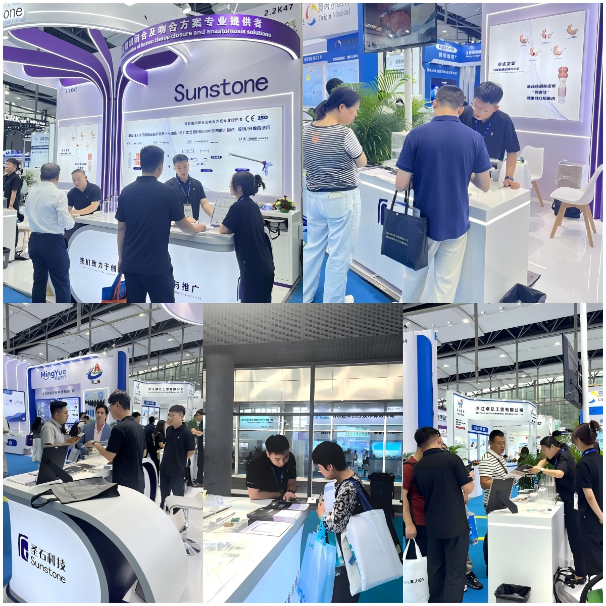 WPS拼图3.png WPS拼图3.png