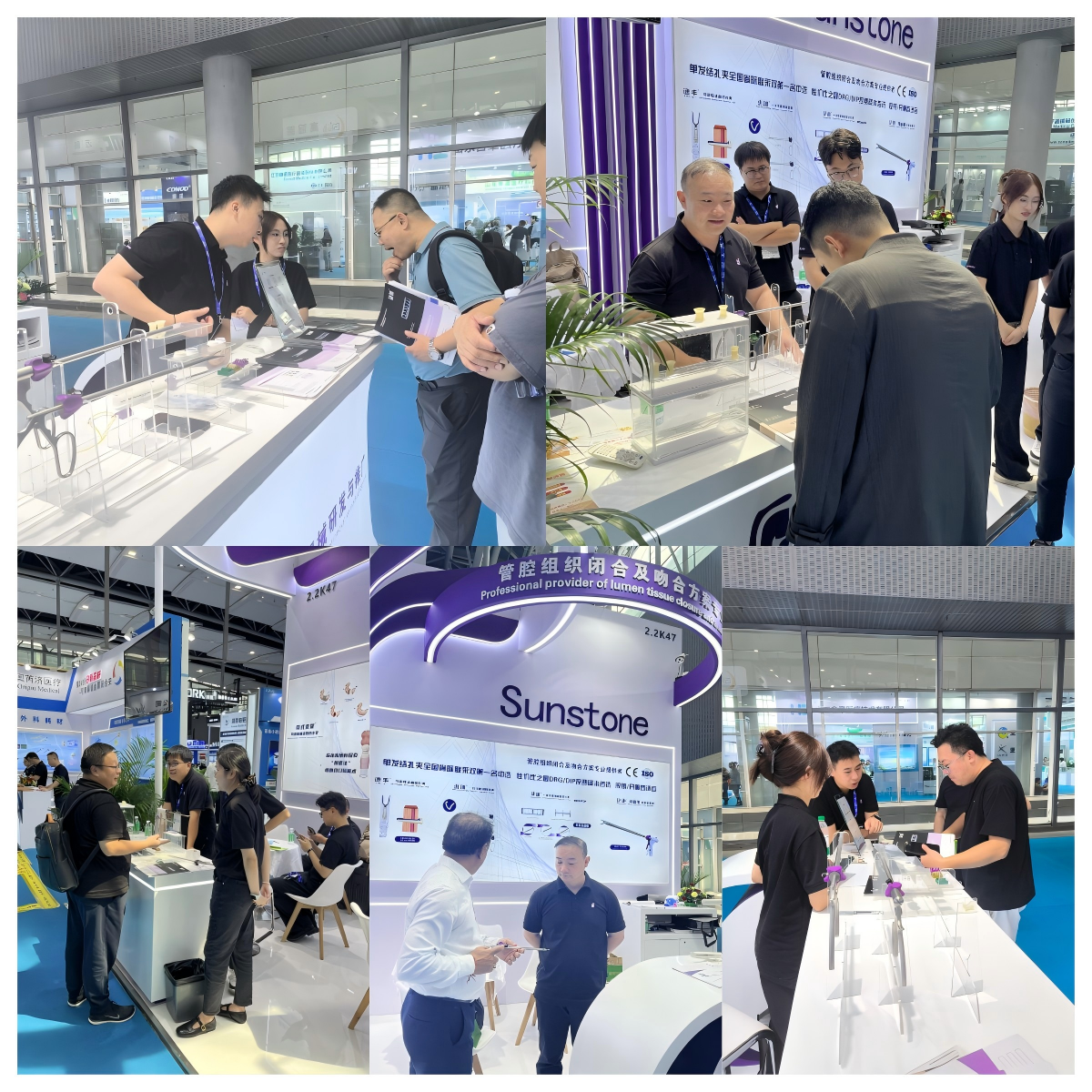 WPS拼图3.png WPS拼图3.png