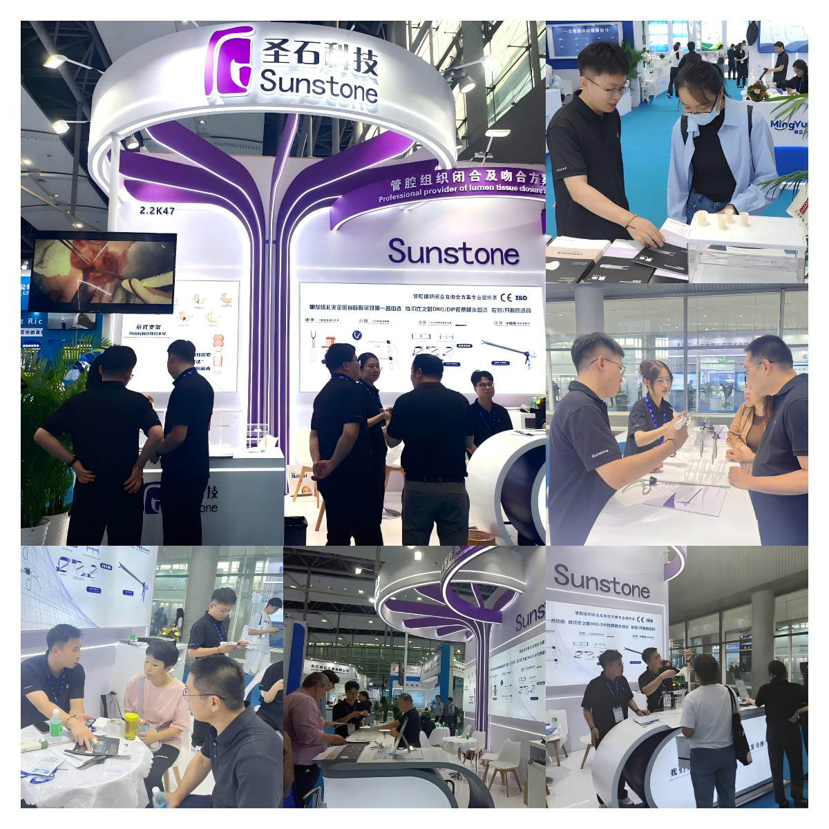 WPS拼图2.png WPS拼图2.png