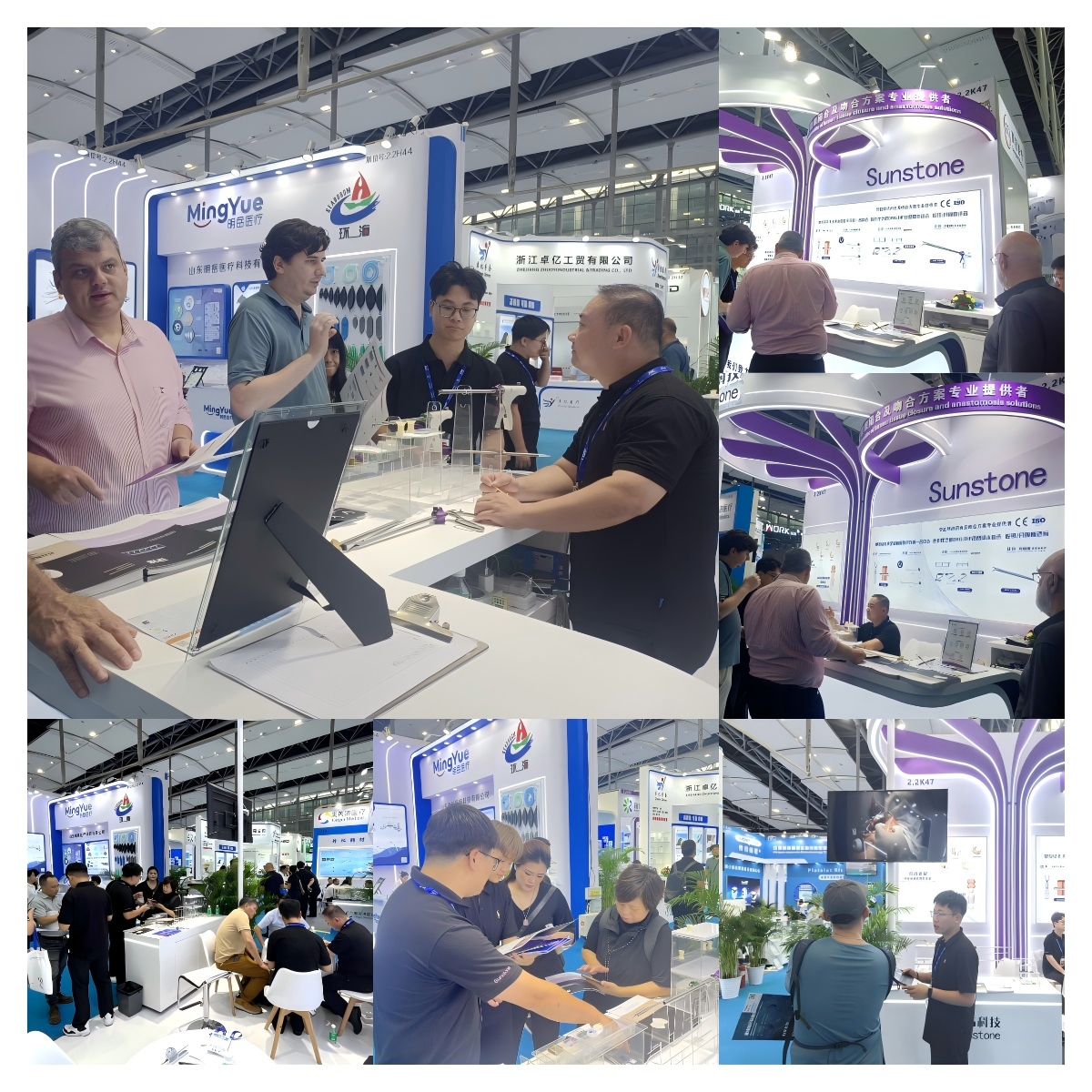 WPS拼图3.png WPS拼图3.png